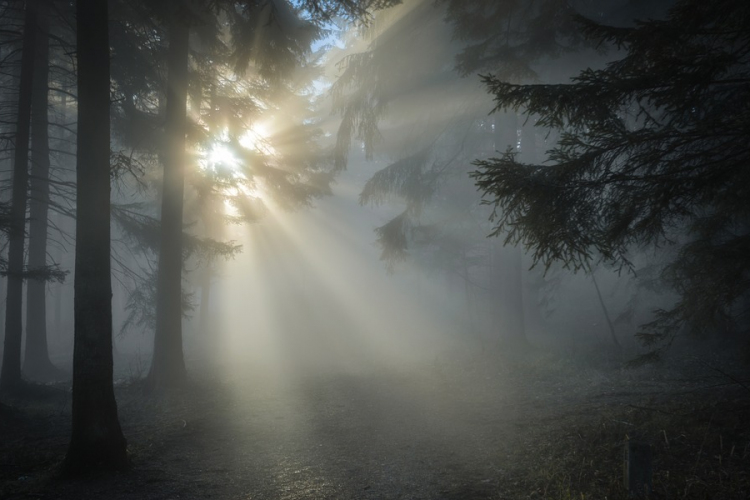 Átfogó fejlesztések a Duna-Dráva Nemzeti Parkban