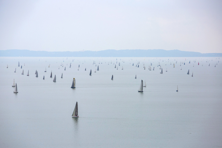 A Racing Django futott be elsőként az 51. Kékszalag Nagydíjon